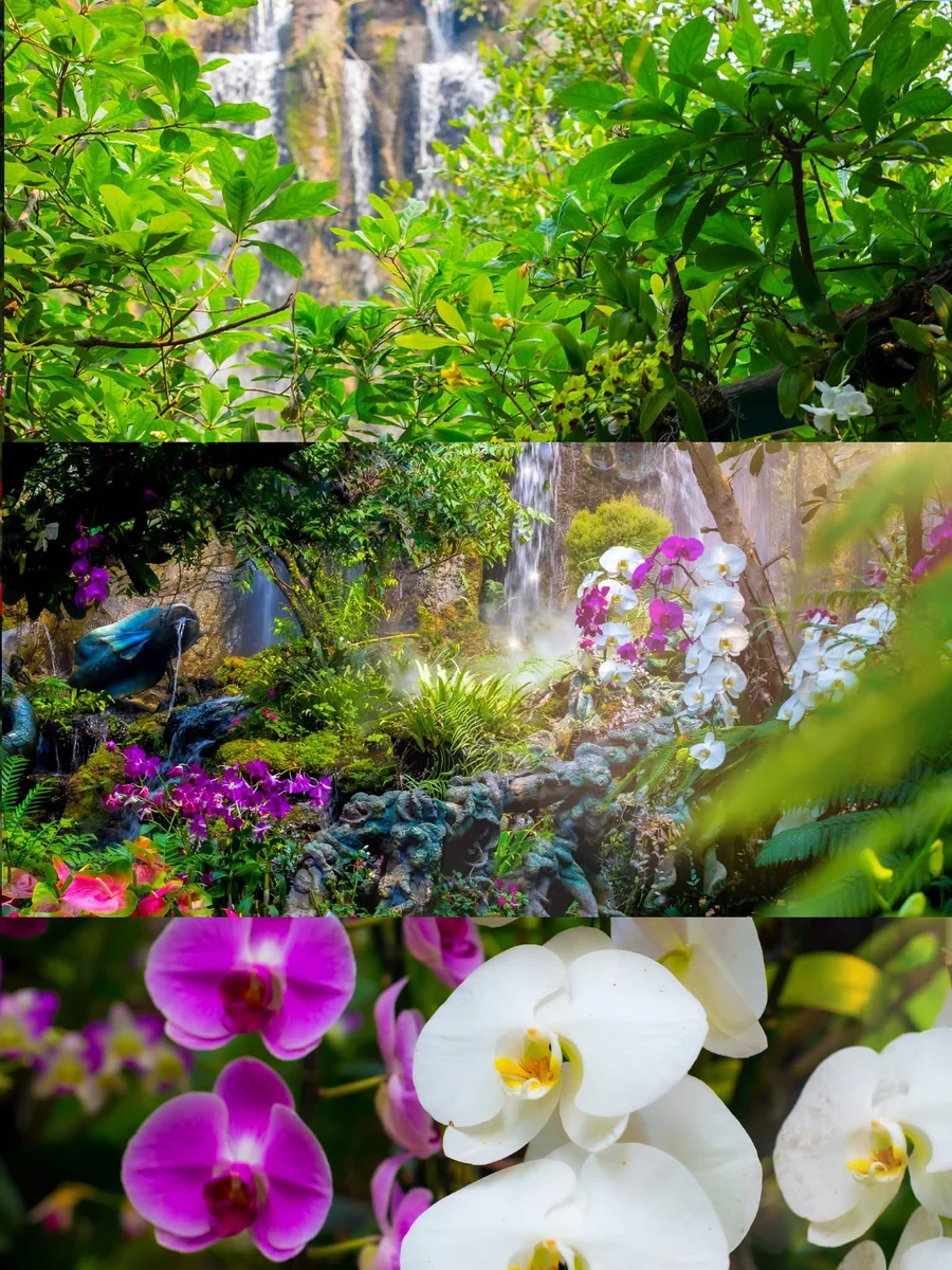 Lalita Cafe waterfall and orchid garden with mist