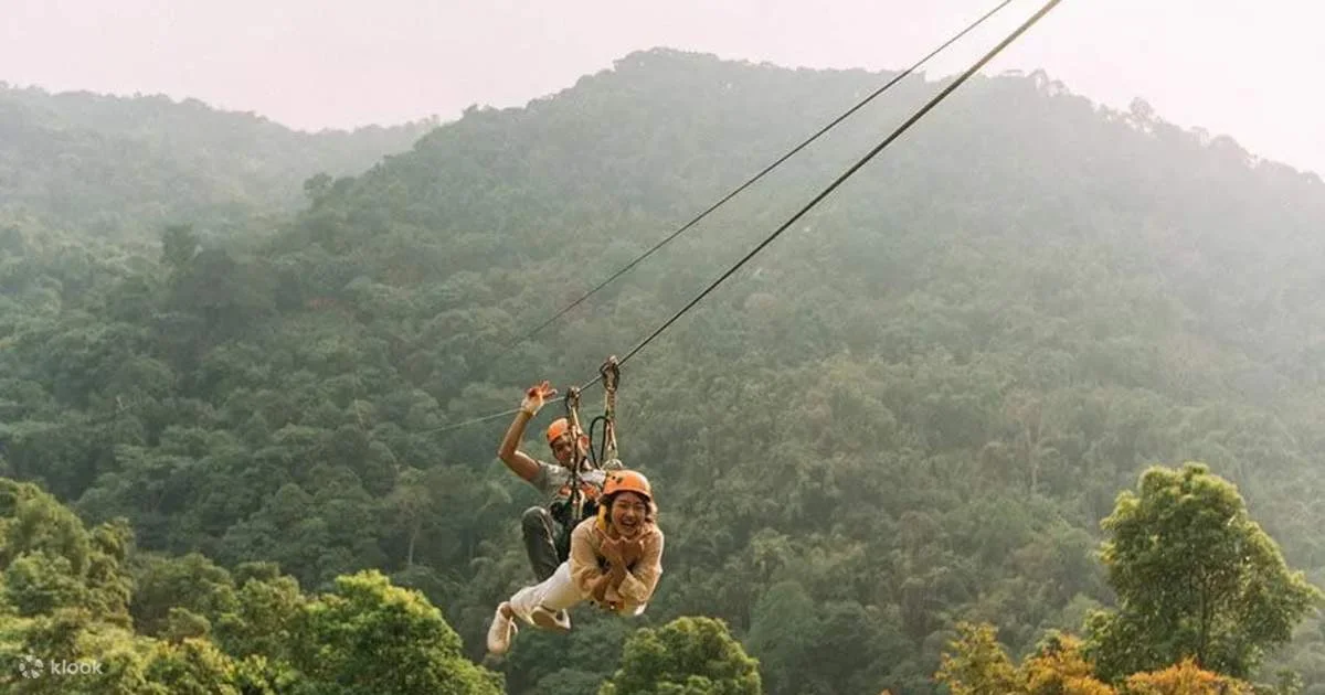 Extreme Zipline & Luge Kart Adventure