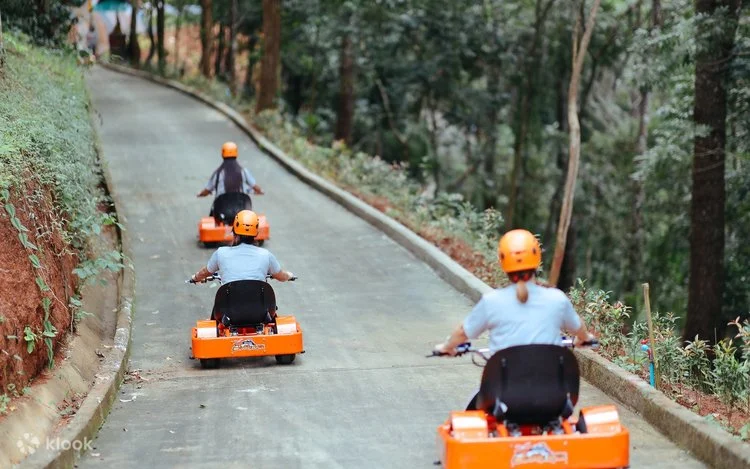 Tourists racing on jungle luge karts down mountain track