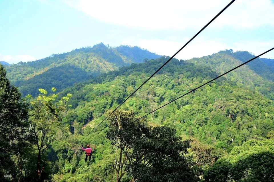 Adventure seekers enjoying zipline experience in jungle